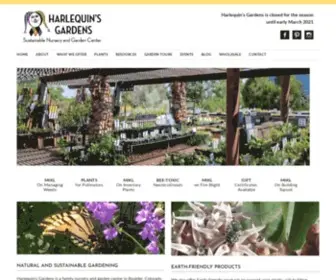 Harlequinsgardens.com(Harlequins Gardens) Screenshot