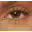 Harmontraining.com Favicon