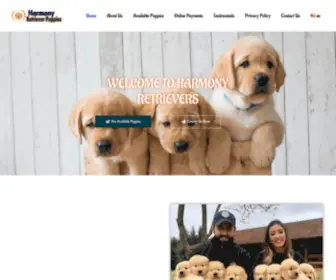 Harmonyretrieverpuppies.com(We Breed With Harmony) Screenshot