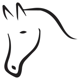 Harrisonhorsecare.com Favicon