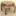 Harrisonvanhorn.com Favicon