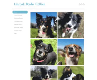 Harrjak.co.uk(Harrjak Border Collies) Screenshot