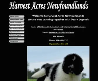 Harvestacresnewfoundlands.com(Newfoundland Puppies) Screenshot