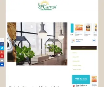 Harvestexcitement.com(Gluten free recipes and gardening tips) Screenshot