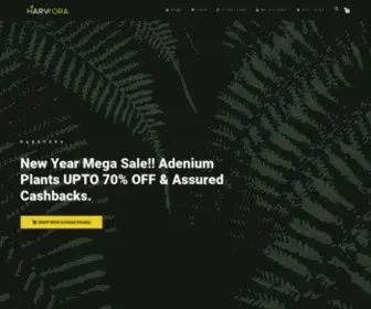 Harvyora.com(Buy online best grafted Adenium Bonsai plants from) Screenshot