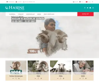 Hasene.online(Hasene online) Screenshot