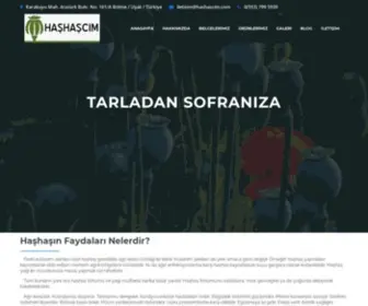 Hashascim.com(银河总站登录入口) Screenshot