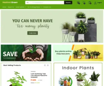 Hashmigreen.com(Best Online Indoor Plants Sale) Screenshot