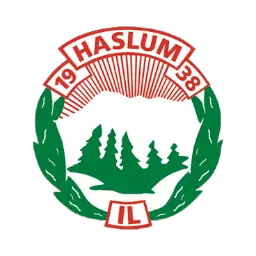 Haslumil.no Favicon