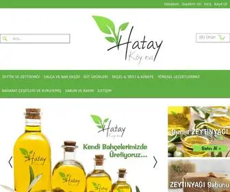 Hataykoyevi.net(Hatay Köy Evi) Screenshot