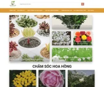 Hatgionggiadinh.com(Ng Gia) Screenshot