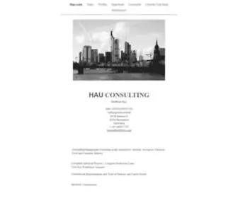 Hau.com(HAU CONSULTING) Screenshot