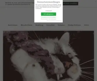 Haustiger.info(Magazin für Katzenthemen) Screenshot