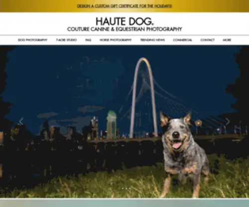Hautedogpetphotography.com(Haute Dog) Screenshot