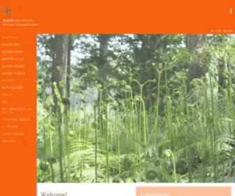 Hayamiforest.com(速水林業) Screenshot