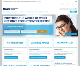 Hays.nl(Werving en selectie door Hays Recruitmentbureau. Ook gespecialiseerd in) Screenshot
