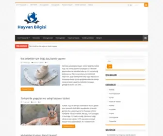 Hayvanbilgisi.net(Hayvan Bilgileri) Screenshot