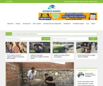 Hayvancilikakademisi.com(Türkiye'den ve Dünya'dan Tarım Hayvancılık Haberleri) Screenshot