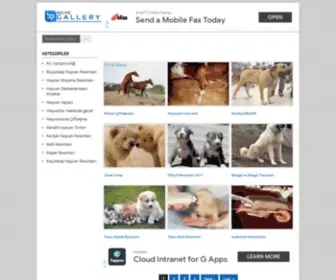 Hayvanlarim.org(Hayvan Resim ve Bilgi Deposudur) Screenshot