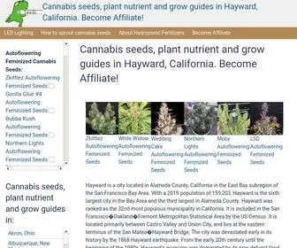 Haywardcannabis.tk(Cannabis seeds) Screenshot