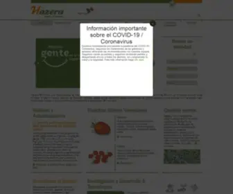 Hazera.mx(Semillas para hortalizas Hazera Mexico Services) Screenshot