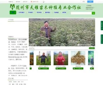 HB312.com(天锥苗木) Screenshot