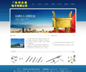 HBCZYT.com(沧州永泰电子有限公司) Screenshot