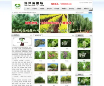 Hbdiyi.com(河北刺槐) Screenshot