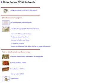 HBnweb.de(Programme von Heinz BeckerAuderath) Screenshot