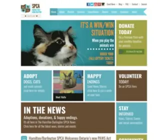 HBSpca.com(The HBSPCA) Screenshot