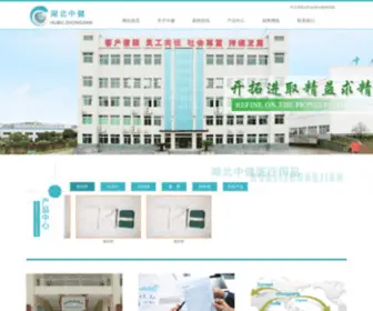 HBZjmedical.com(湖北中健医疗用品有限公司) Screenshot