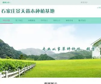 HBZMCP.com(河北草坪) Screenshot