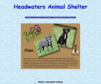 Headwatersanimalshelter.org(Headwaters Animal Shelter) Screenshot