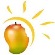 Healthvationsteam.com Logo