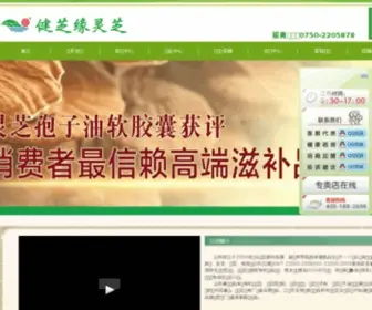 Healthwise.com.cn(健之源公司) Screenshot