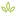 Healthygarden.ch Favicon