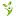 Healthylifefoundation.in Favicon