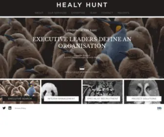 Healyhunt.com(Healy Hunt) Screenshot