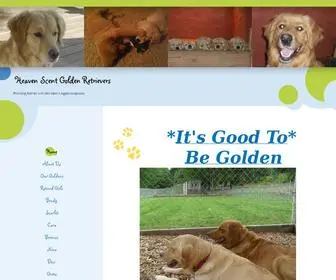 Heavenscentgoldenretrievers.com(Heaven Scent Golden Retrievers) Screenshot