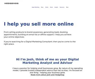 Hedgehogmarketing.com.au(Digital Marketing Consultant Melbourne) Screenshot