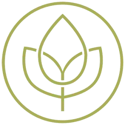 Heilenwellness.com Favicon