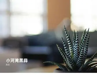 Heisuan.com.cn(黑大蒜) Screenshot