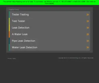 Heliumtesting.com(Helium Leak Detection) Screenshot