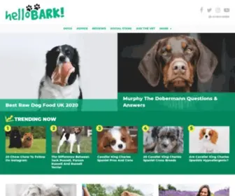 Hellobark.com(Your Trusted Pet Resource) Screenshot