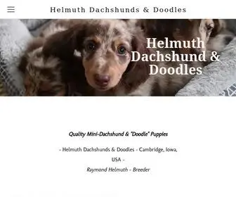 Helmuthdachshundsanddoodles.com(Helmuth Dachshunds & Doodles) Screenshot