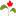 Helpcanadagrow.com Favicon