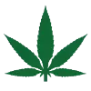 Hemp-Bags.com Favicon