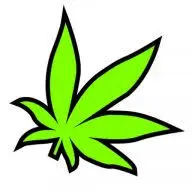 Hempsociety.de Favicon