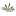 Hemptasticallygood.com Favicon