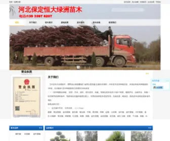 HengdalvZhou.net(河北恒大绿洲苗木) Screenshot